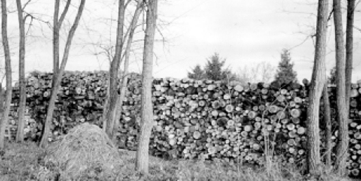 Comment créer et gérer un réseau de chaleur bois pour les collectivités locales ?